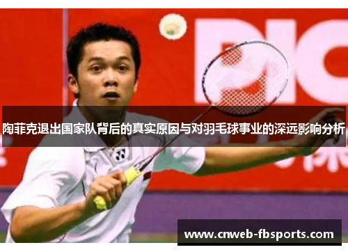 陶菲克退出国家队背后的真实原因与对羽毛球事业的深远影响分析